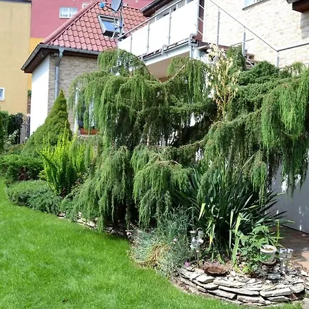 Jeziorny Zakatek * Barlinek