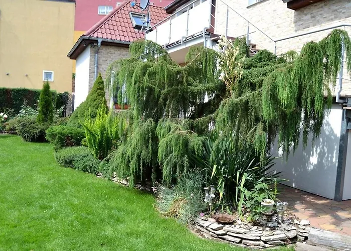 Jeziorny Zakatek * Barlinek